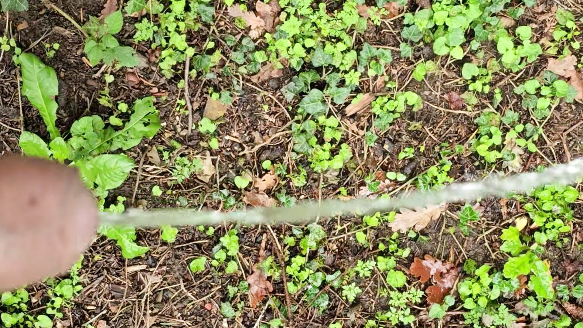 20250927_151955 - video by pisun1986 cam model