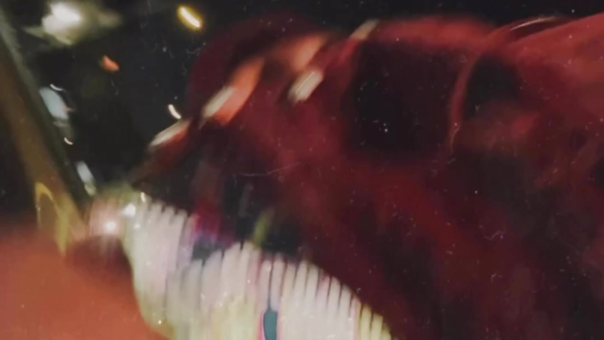 2dd8596ea06f43c283f42df1de67201a - video by squirterasstarr cam model