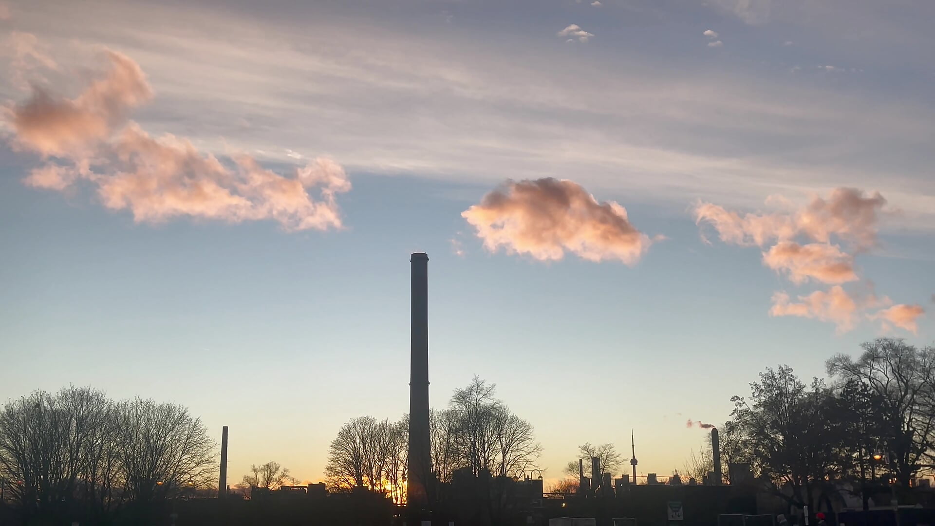 The Beaches // IHAE 22 - video di tia___fox modella di cam