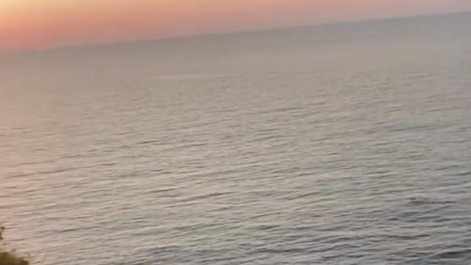 Hi - mistress_in_the_forest 캠 모델의 동영상