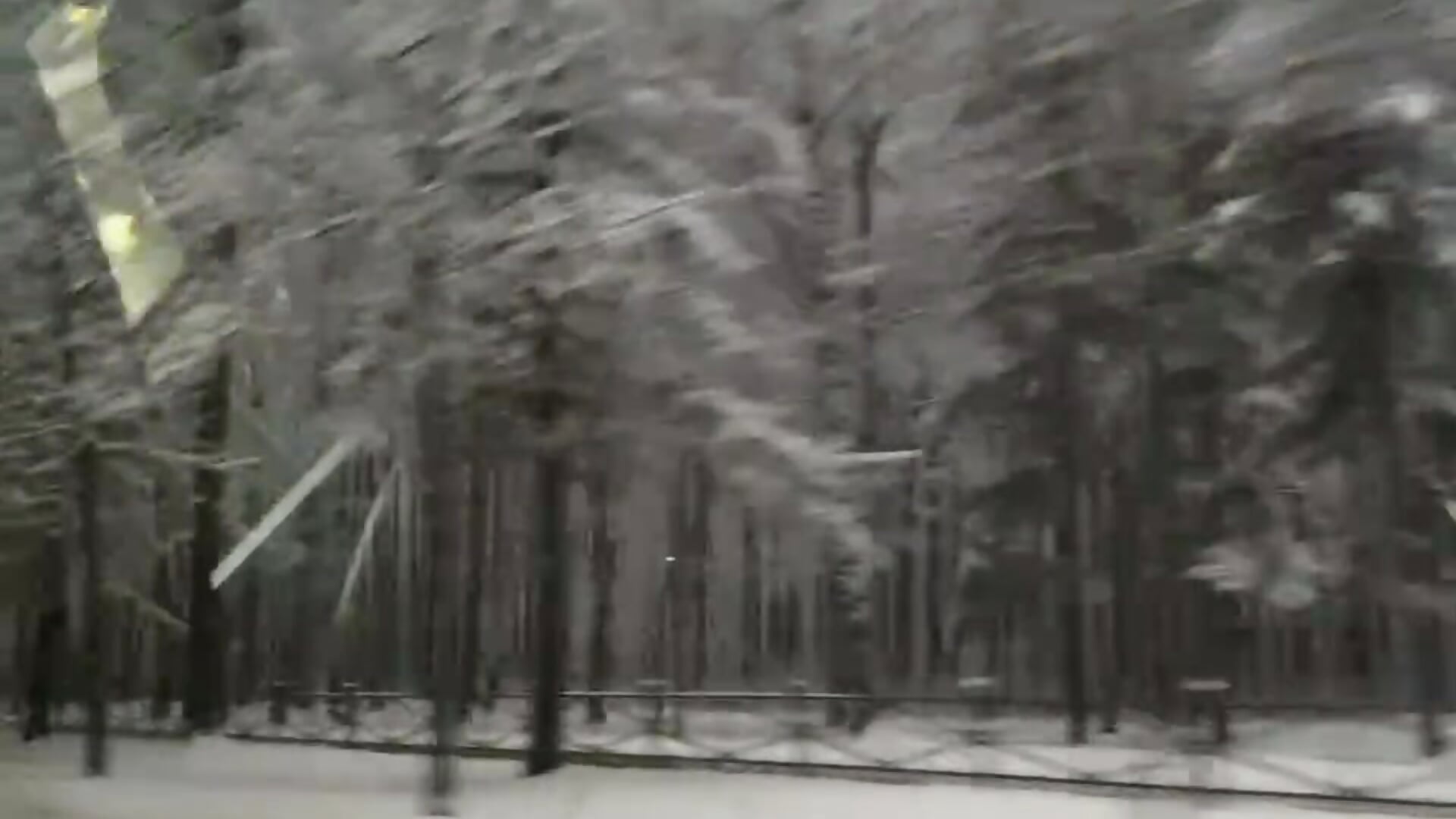 snow - video by SabrinaSong cam model