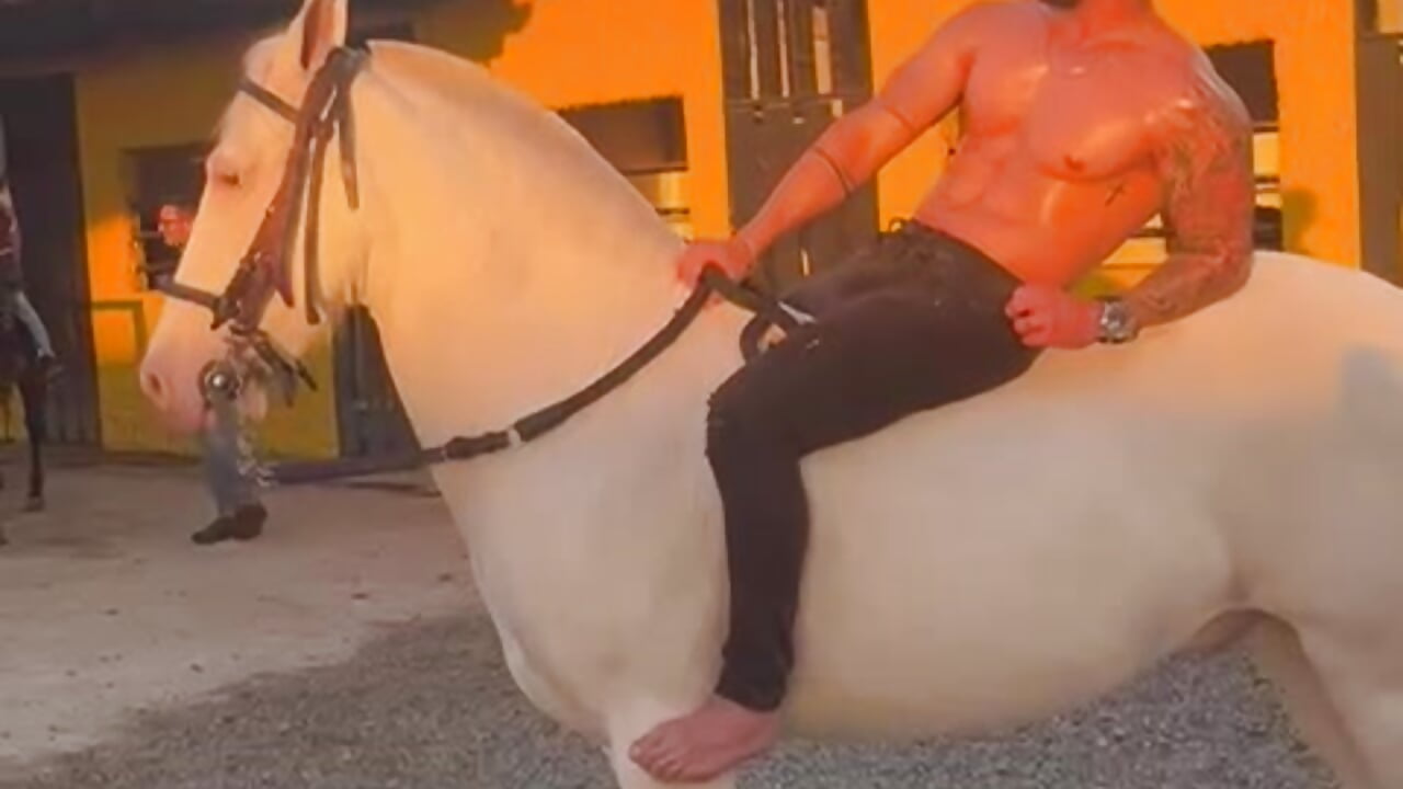 WhatsApp Video 2024-12-15 at 11,56,34 AM - video by SOY_MIKE cam model