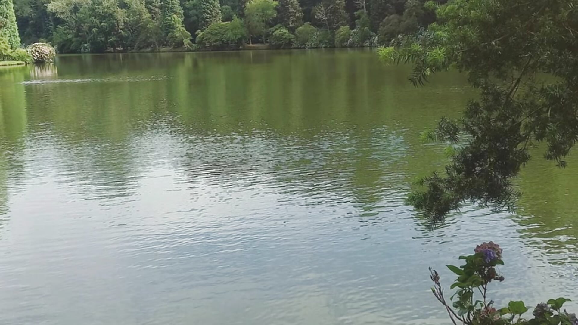 1000004803 - Vídeo de Freitas281198, modelo de vídeos