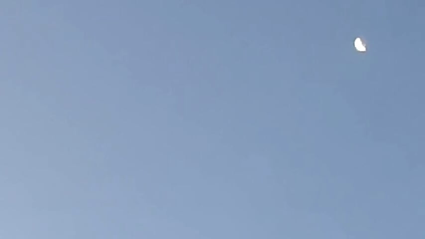 VID-20250817-WA0001 - video by rezzzze cam model