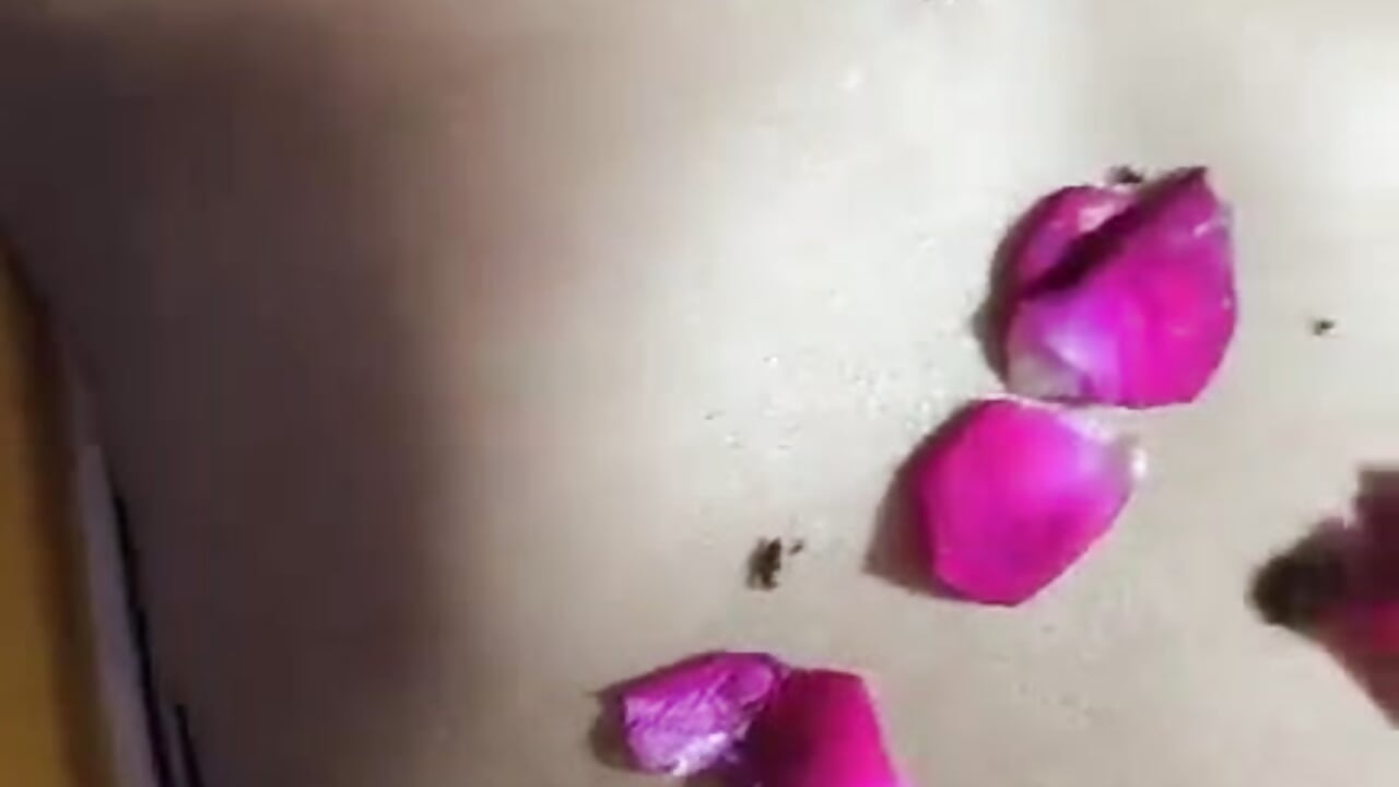 Chocolate day celebration 🎊🎉🎊🎉 - video oleh model kamera Indian_couple_21_24