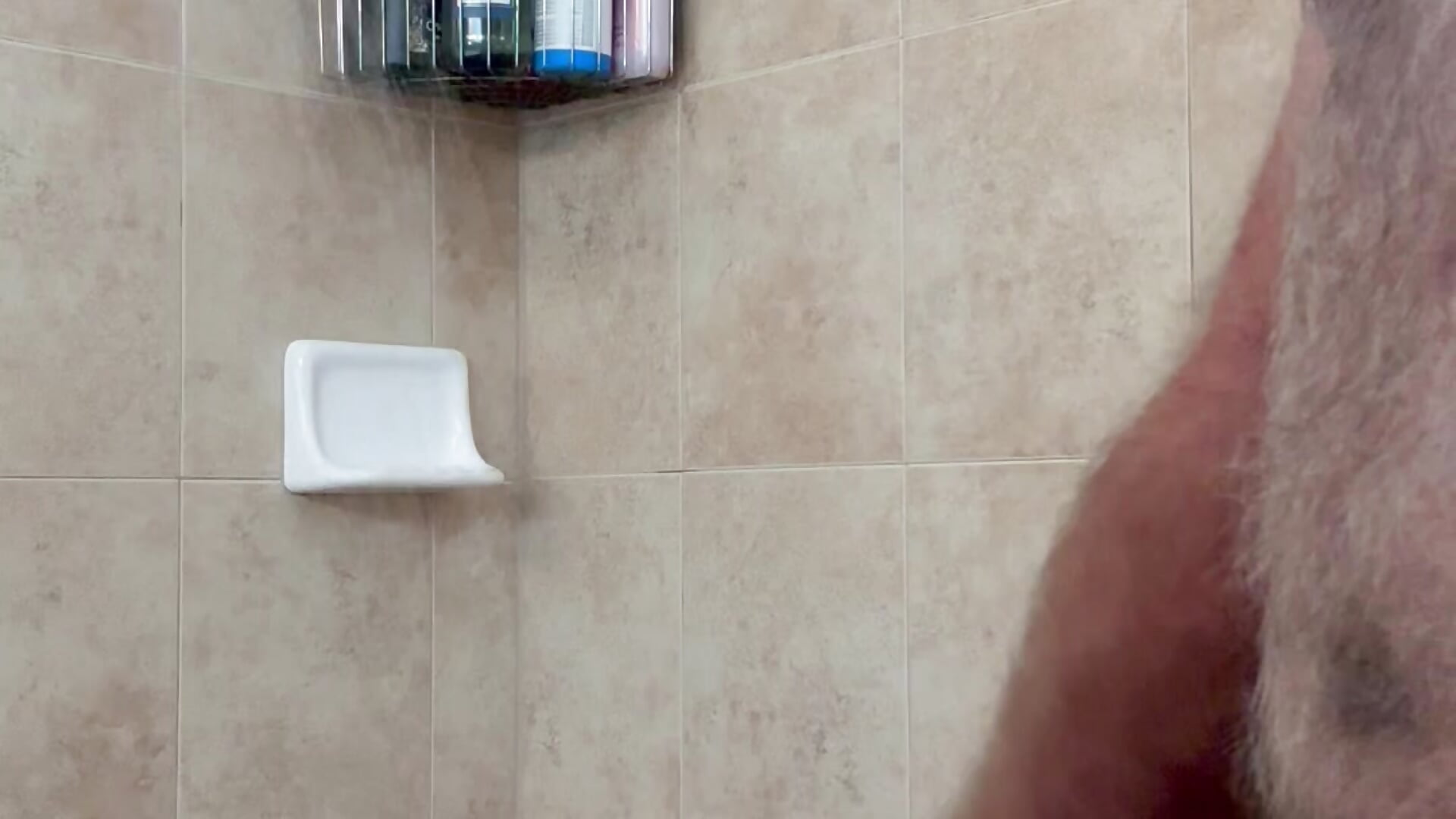 IMG_2219.mov - video by wsteel66 cam model