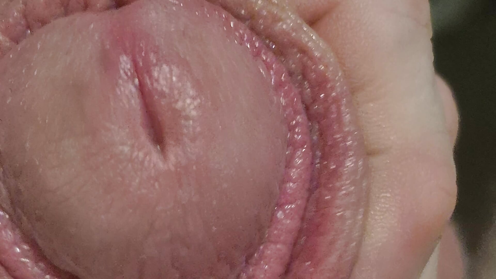 Curious9884 - kameramalli trendaava video 8486