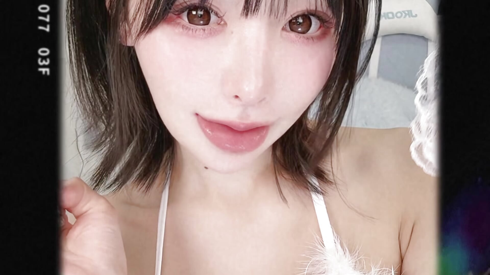 白猫🐈‎🤍ぺろりん👅