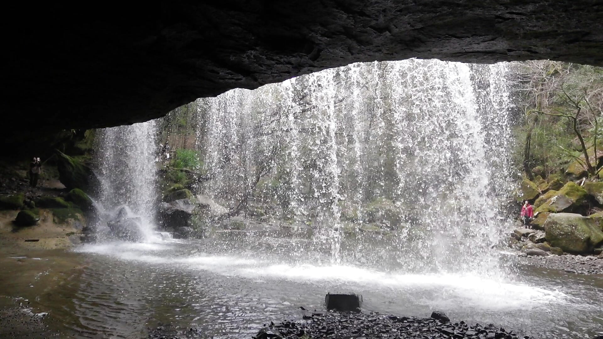 滝‎𓂃 𓈒𓏸💧💦🐳 - video by hana-08787- cam model