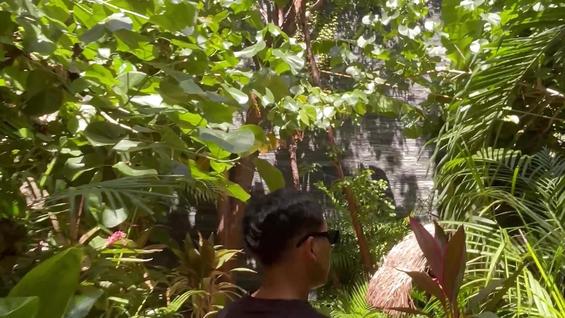 Adventure 🌴 - video by consimex69 cam model