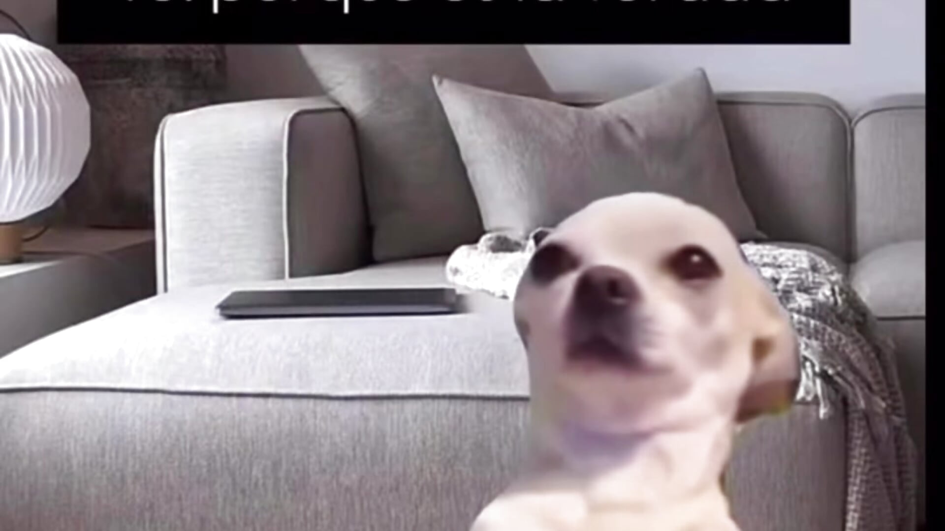 Perri – video modela na kameri joaquin2224