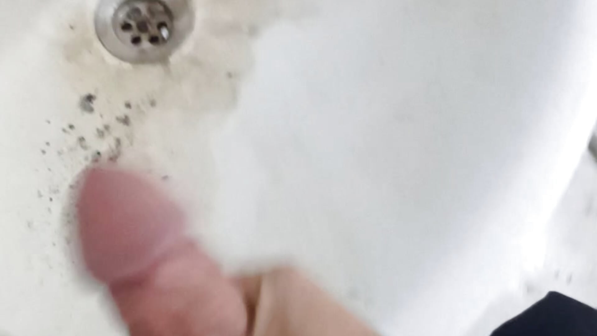 1000084090 - video by Sikici0734 cam model