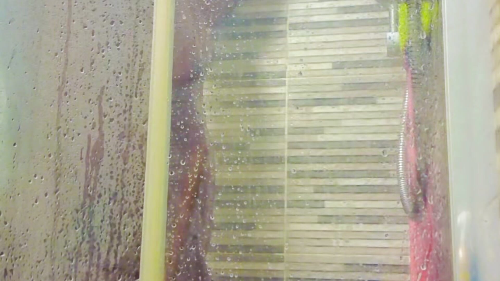 Amazing 😻🤩– naz100 kameramodell videója