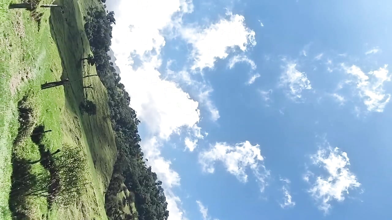 Sunny day in the mountains 🌳🍃 – video modela na kameri CamilaLevy