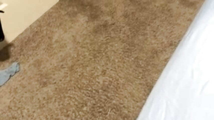 78157758824__D90CF658-0A7C-4C63-9134-99DA0CE89A8D - vidéo du modèle de showcams murphdolla