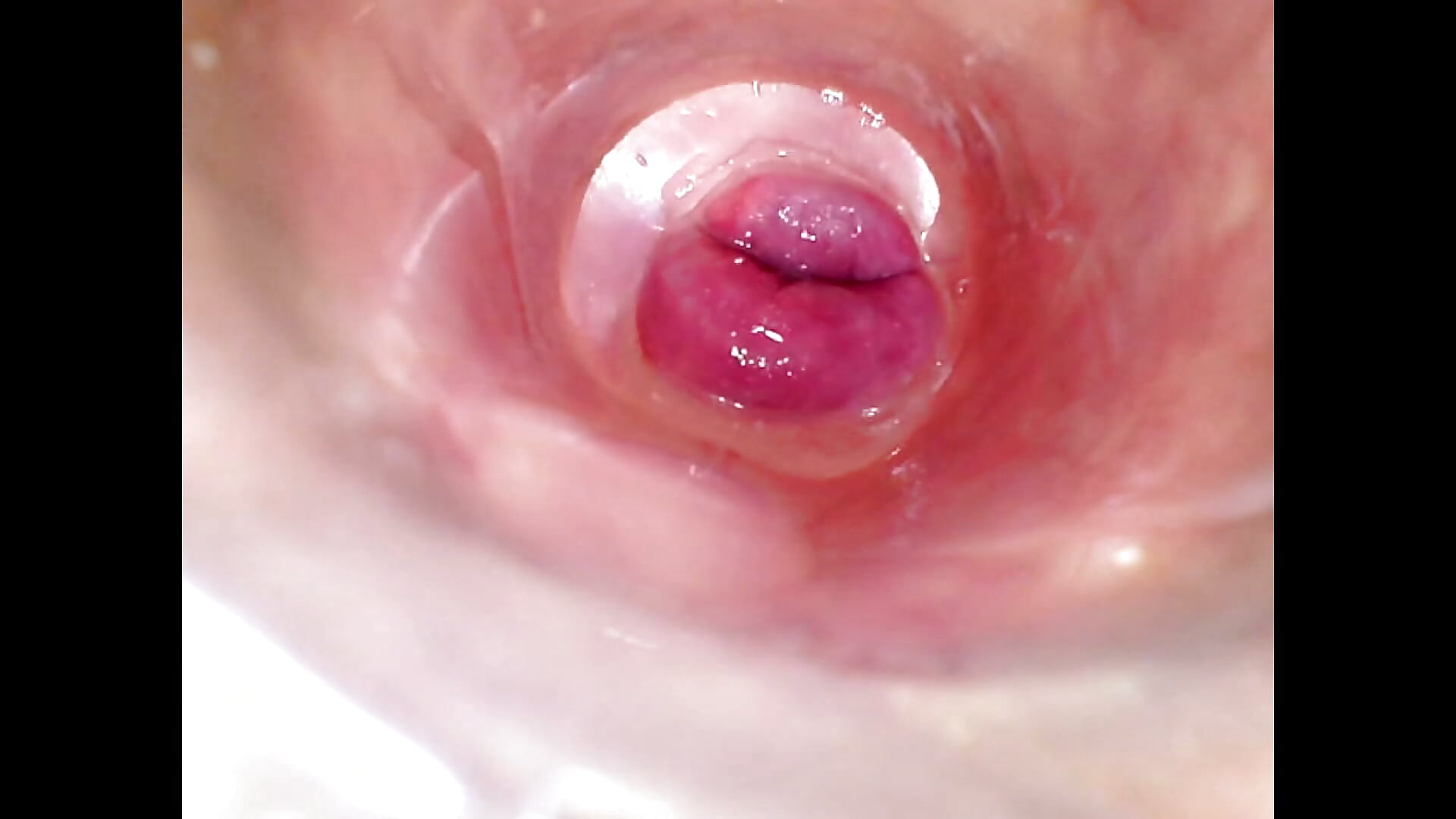 2025-10-26 11-04-00.mp4 - video by shannon_kinne_ cam model