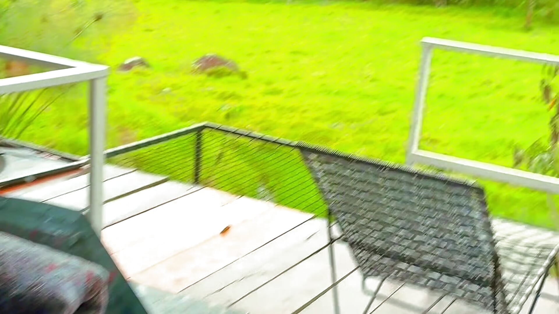 Daisy & Emily 🥰 Anniversary - video by DaisyEmily cam model