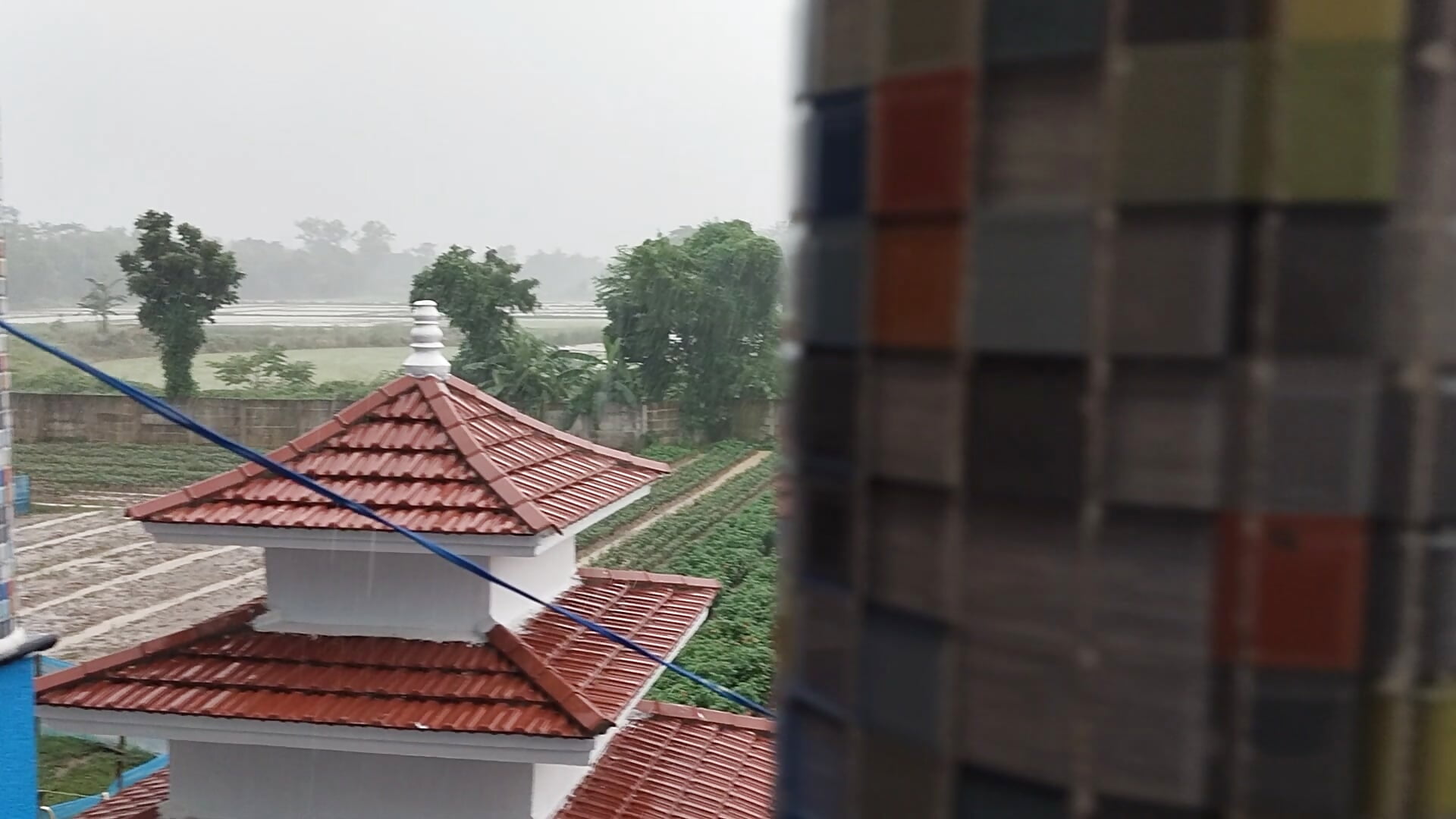 1000003273.mp4 - video by Binny91 cam model