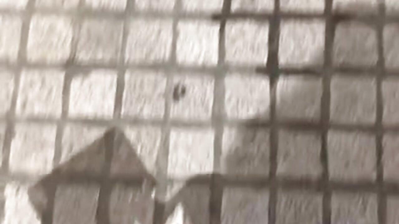 IMG_5853 - video by mio_k1 cam model