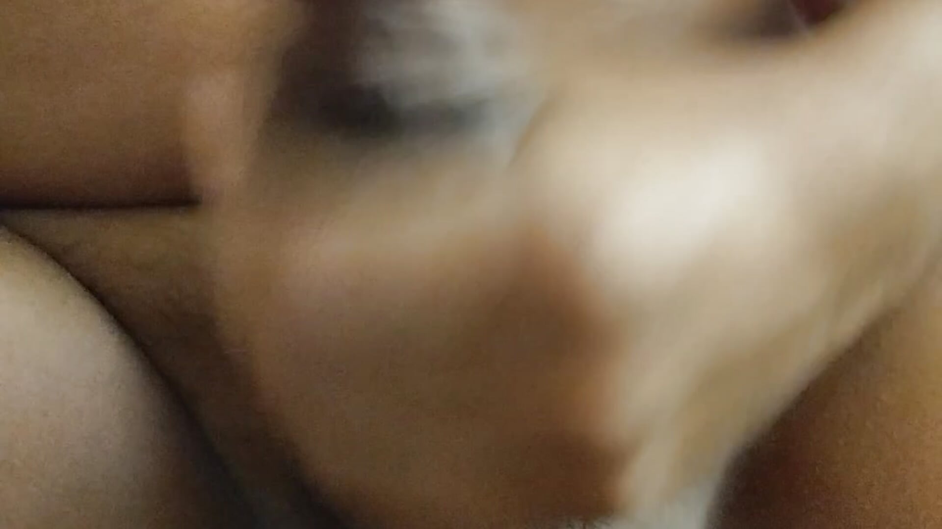 Cum Explosion - vidéo du modèle de showcams TanjiroCamadoo