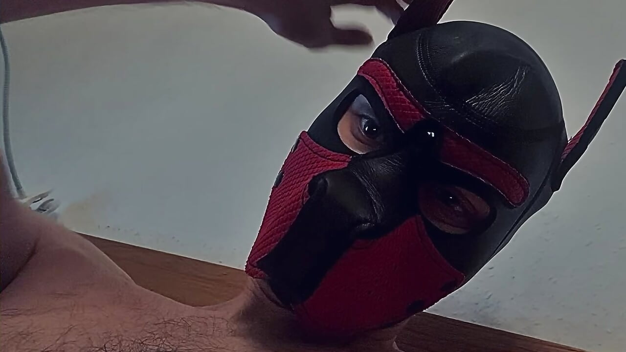 Pup-lifestyle - video của người mẫu cam MolleDolle