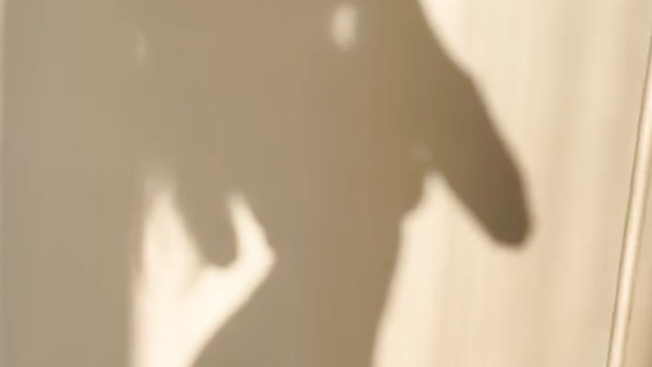 PXL_20250427_164918484~3 - video by savvye cam model