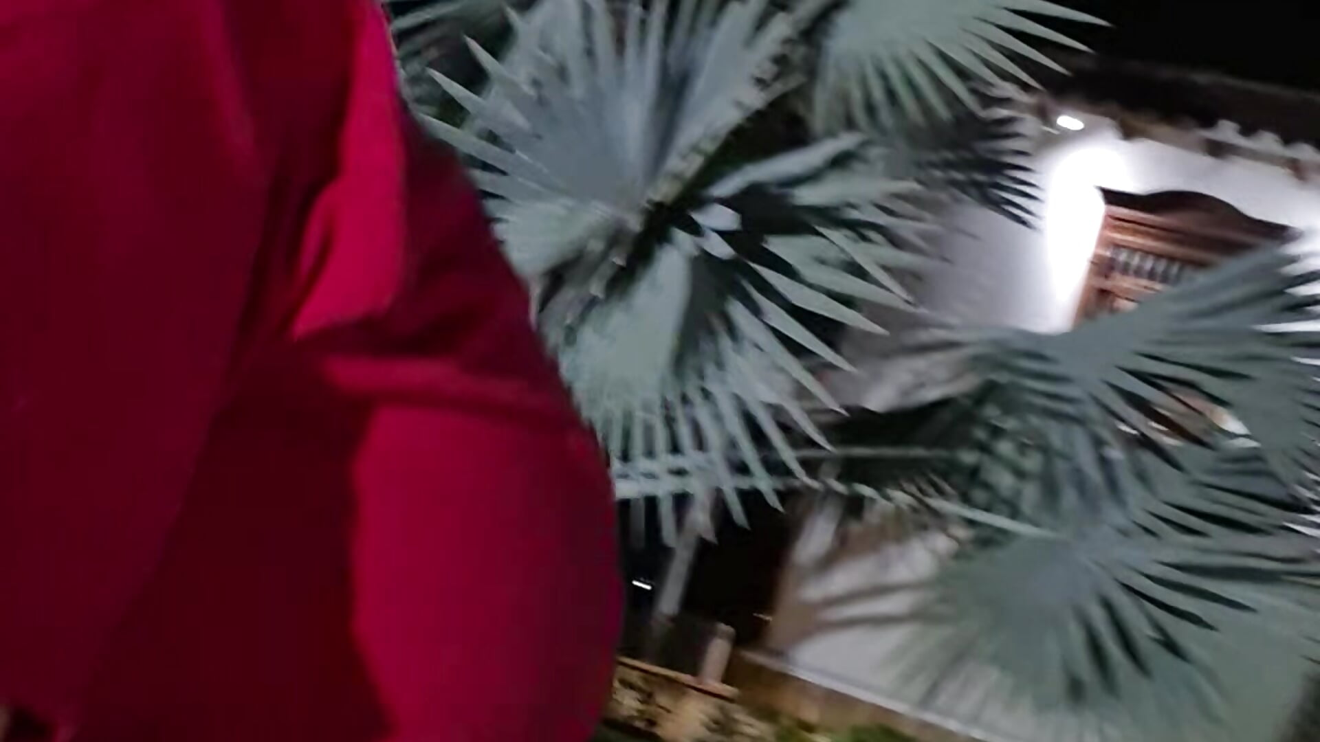 1000260533 - video av karla-bruni cam-modell