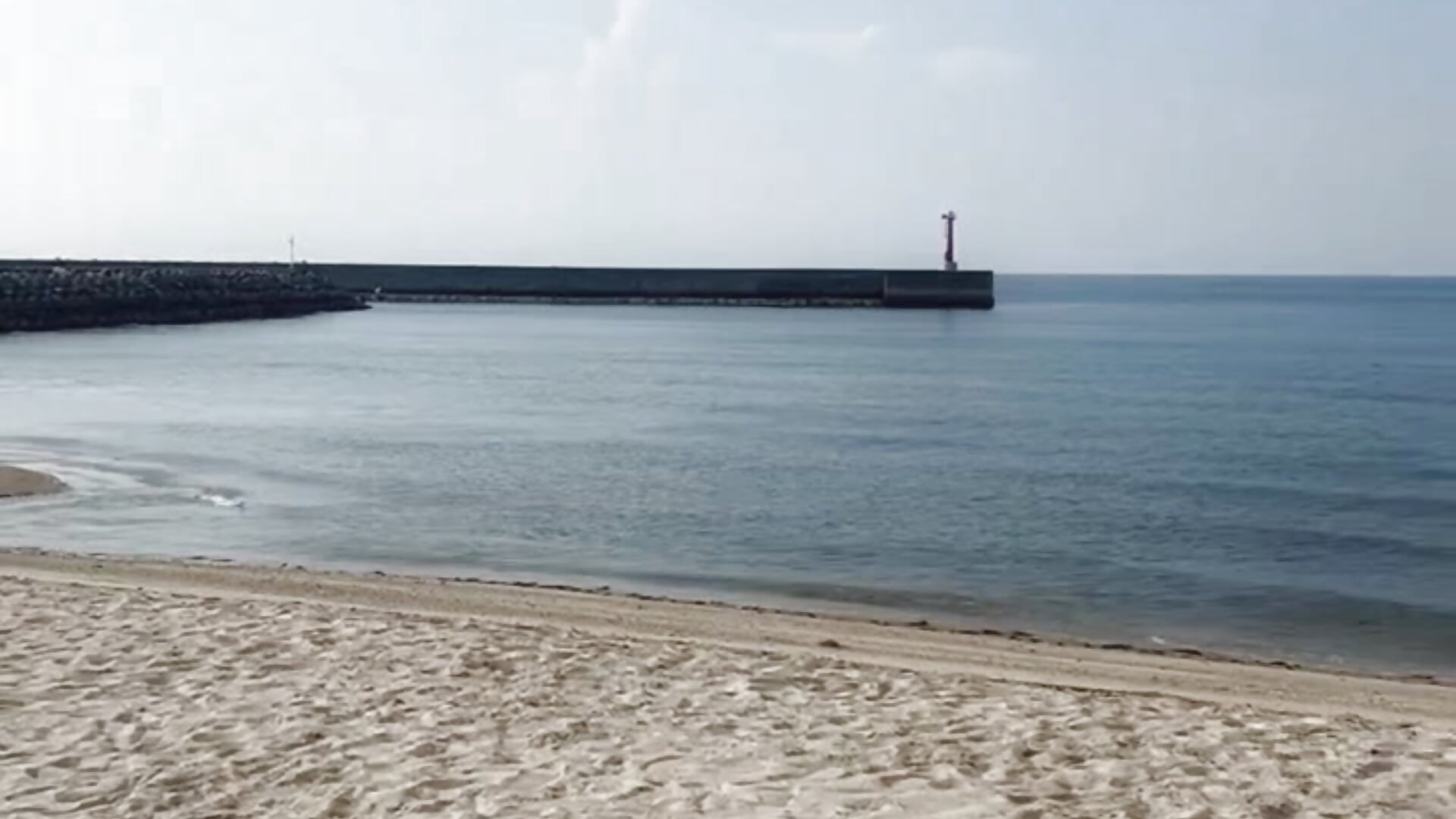 海でたそがれているぴかりん🐚🩵 - βίντεο μοντέλου hi_ka_ri0728