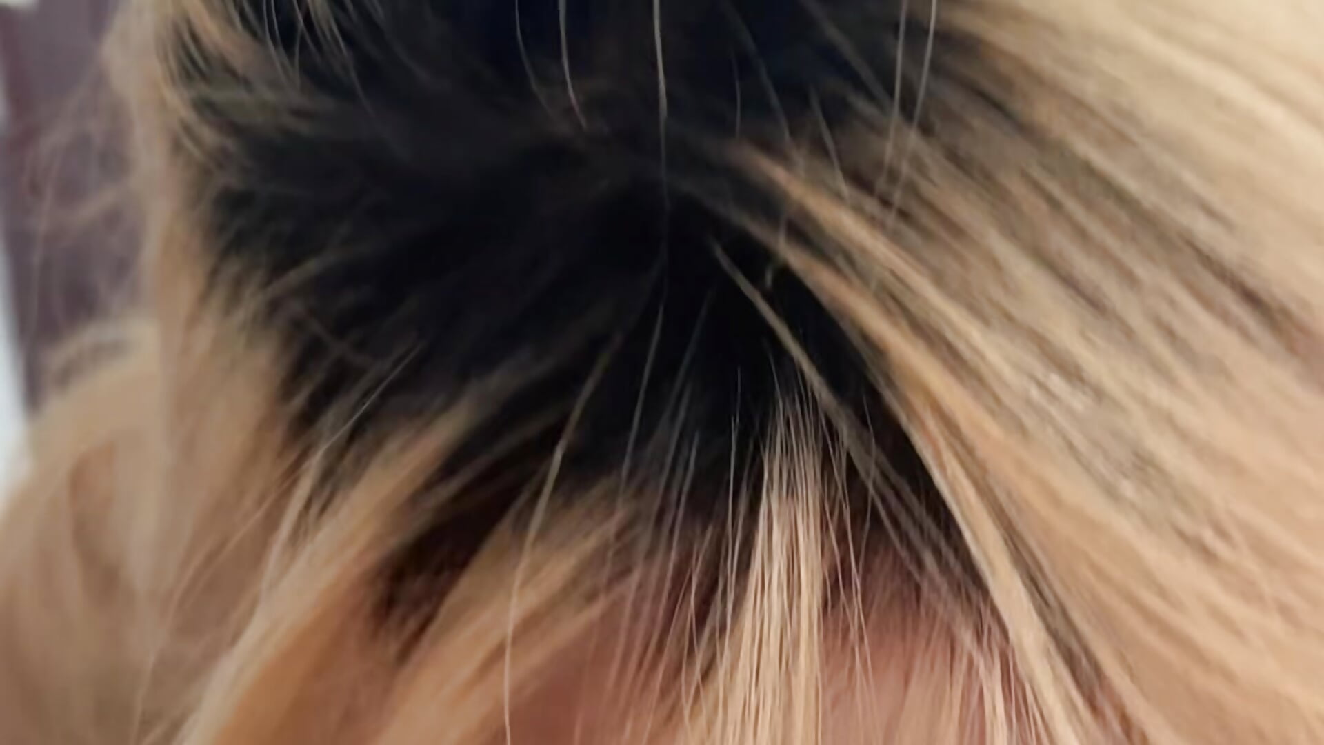 Yuki露脸帮男主人口交 - video by yuki_july cam model