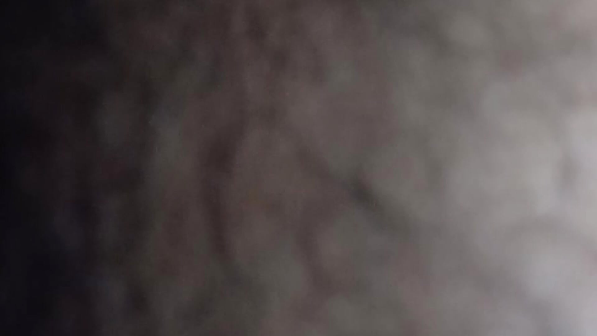 20251029_083006 - video jhbswto kameramallilta