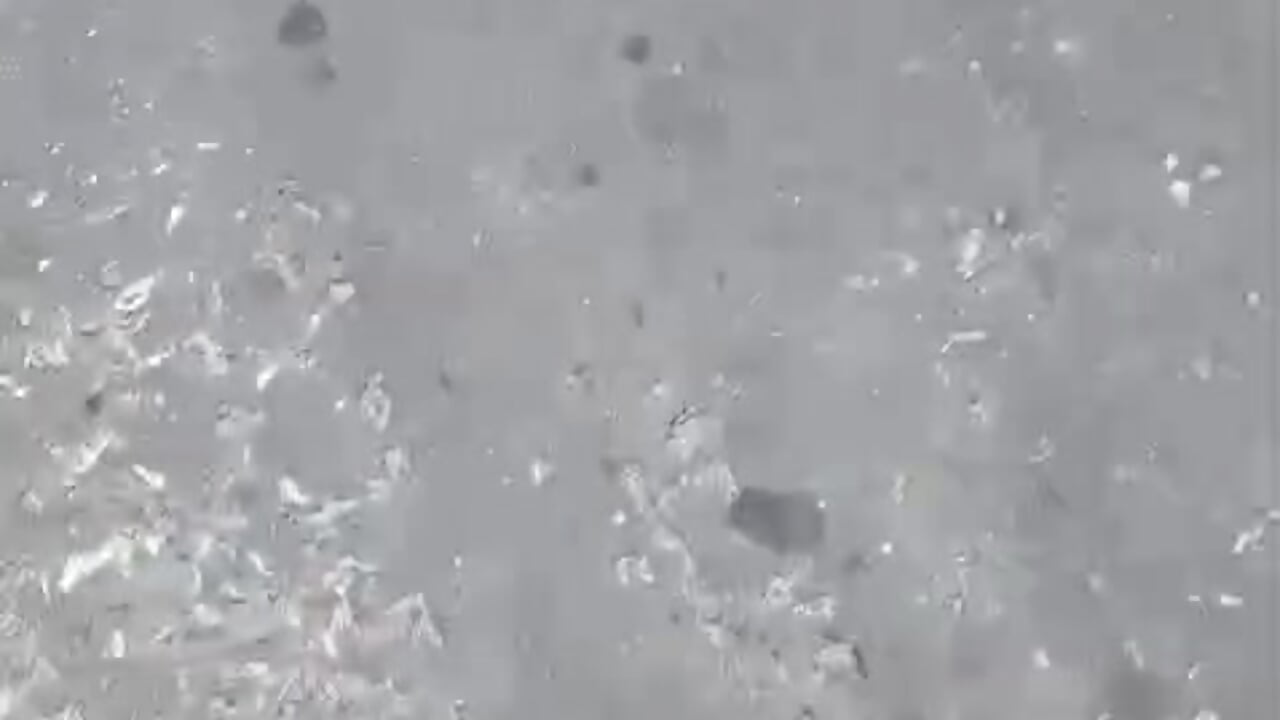 This me - video by Samalibaba cam model