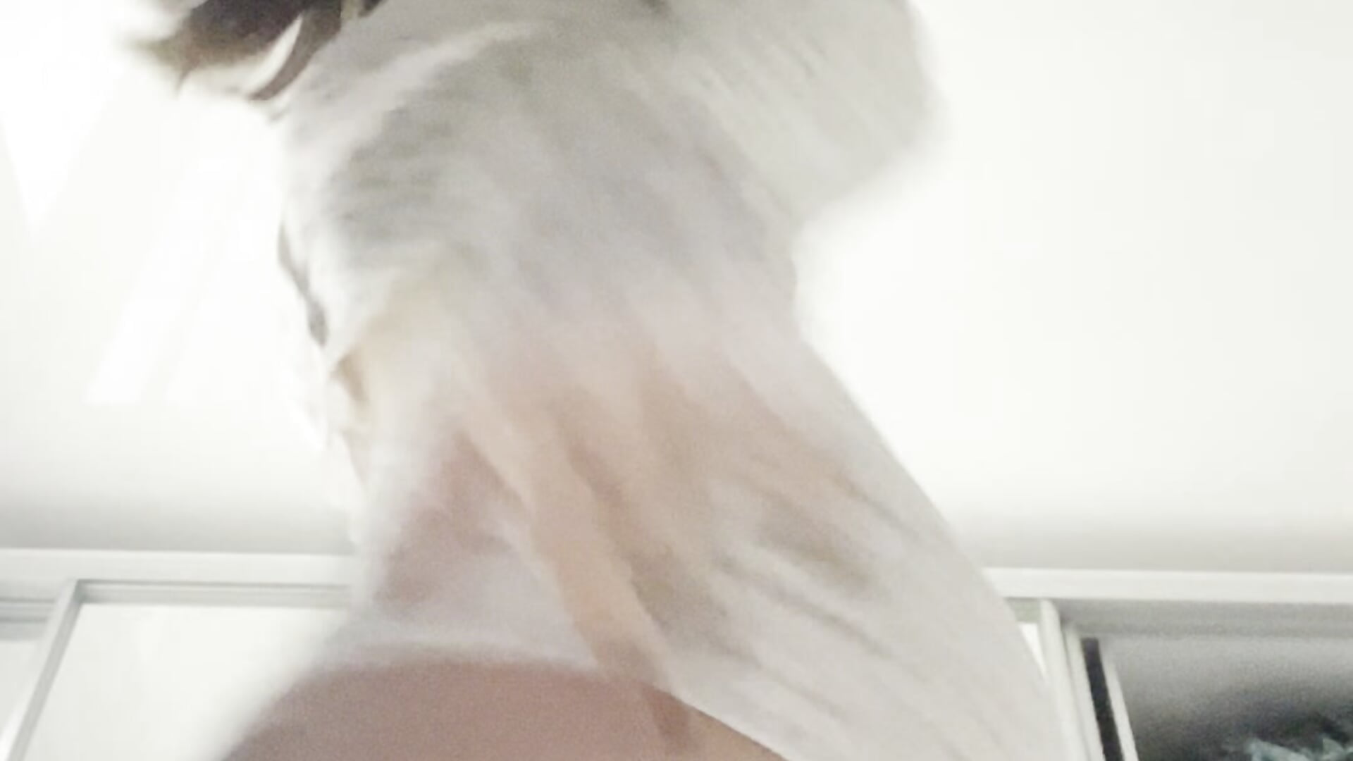 i found prefect place to sit on😜－カメラキャストのEdenSolisの動画