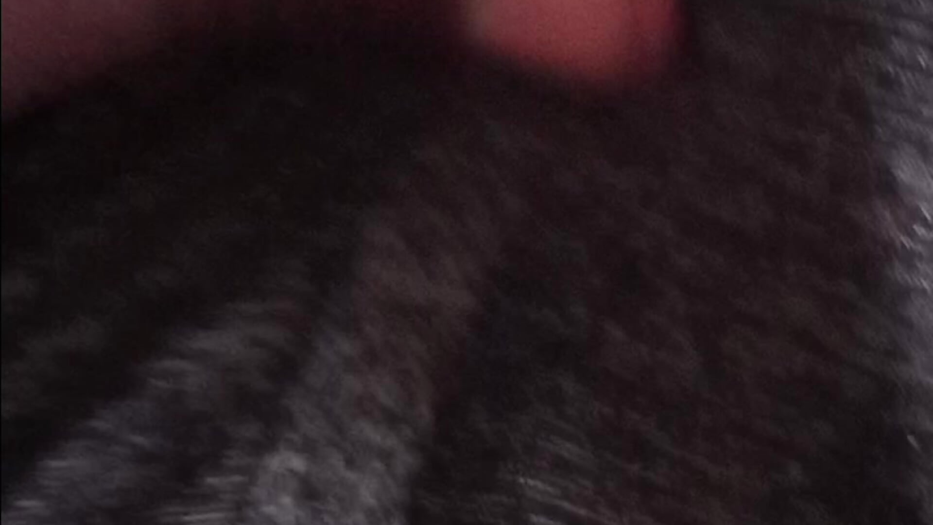 1000156817 - video by COCKDEEEP cam model