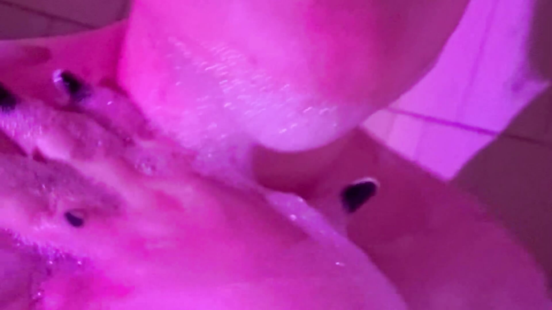 I decided to play around in the foam - video by Mila_mikki cam model