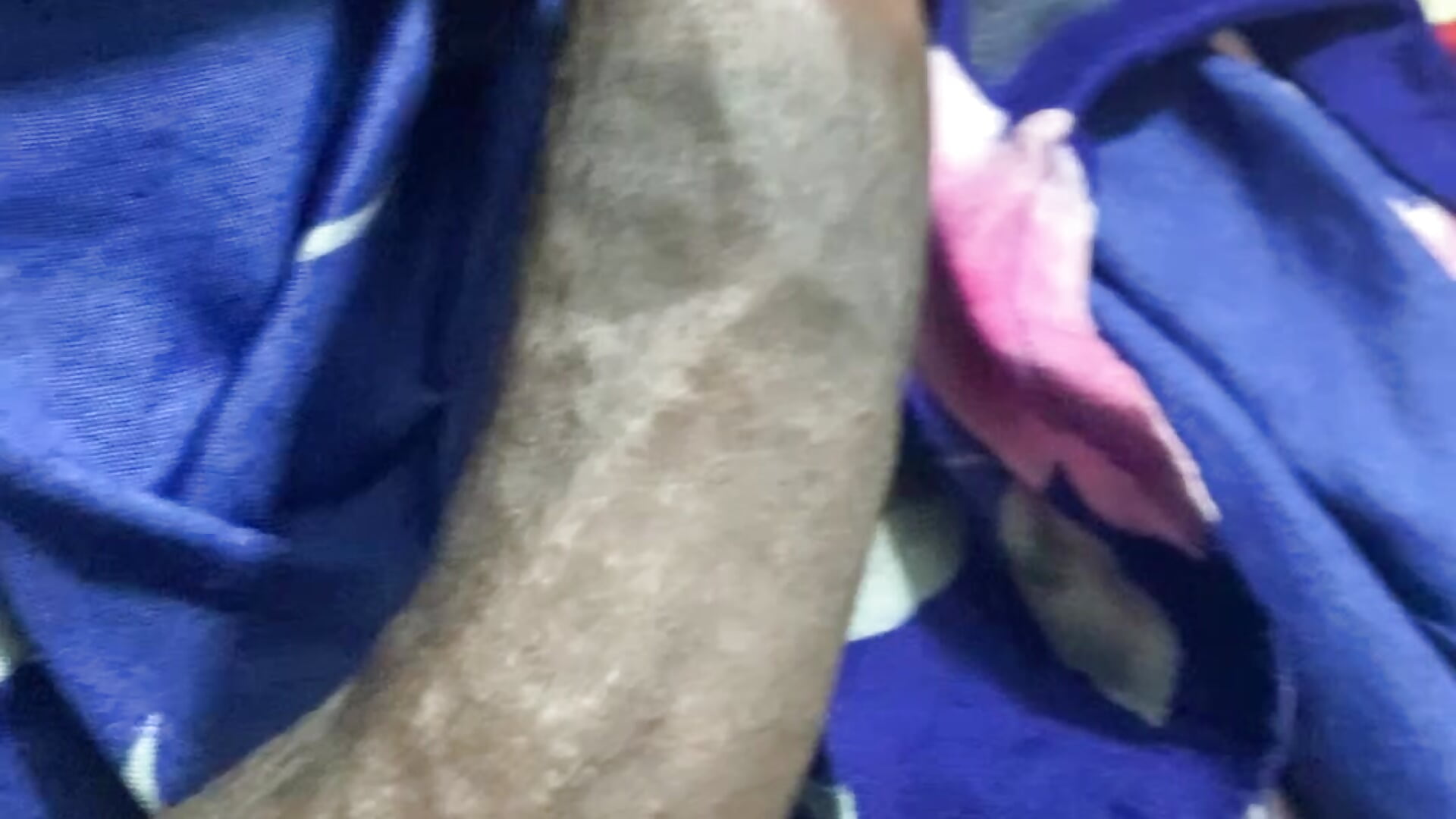 IMG_1308 - LastDon001 adlı kamera modelinin videosu