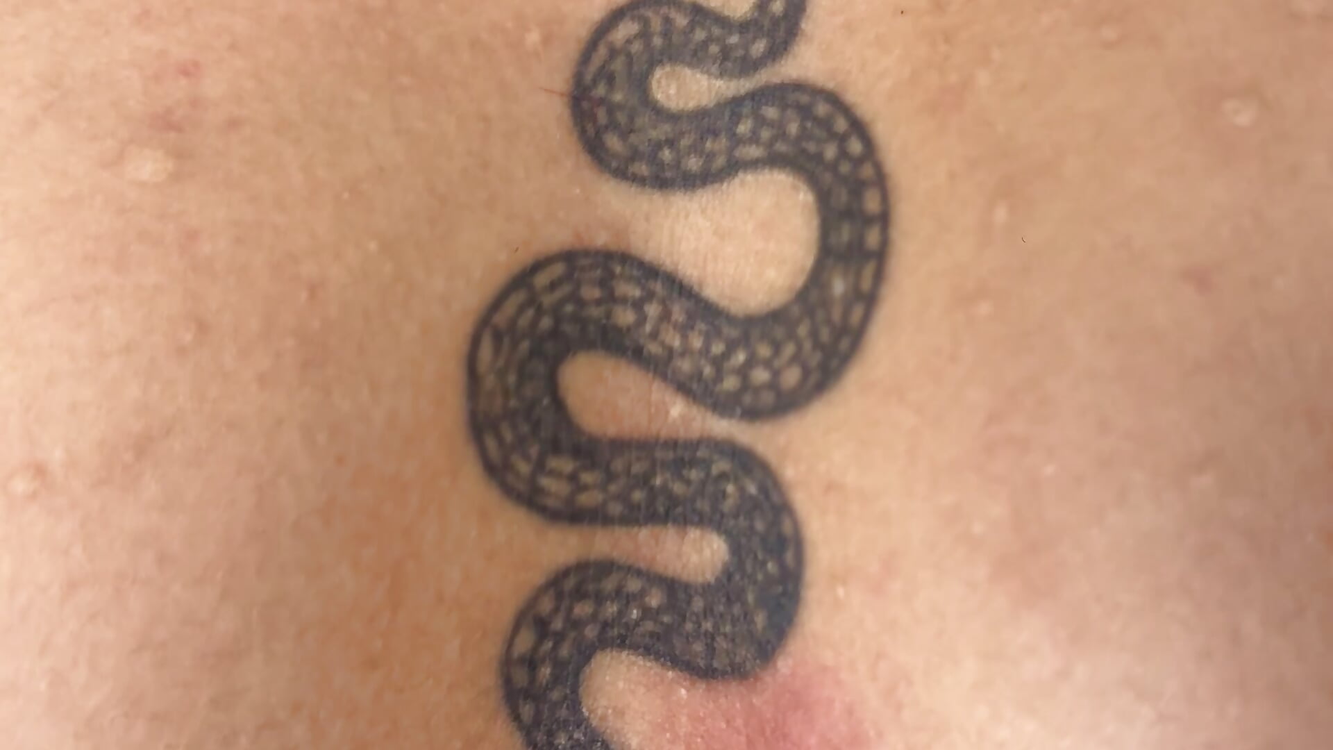 My Beautiful Tattoos🐰❤️‍🔥 - video by ashly_arthur_ cam model