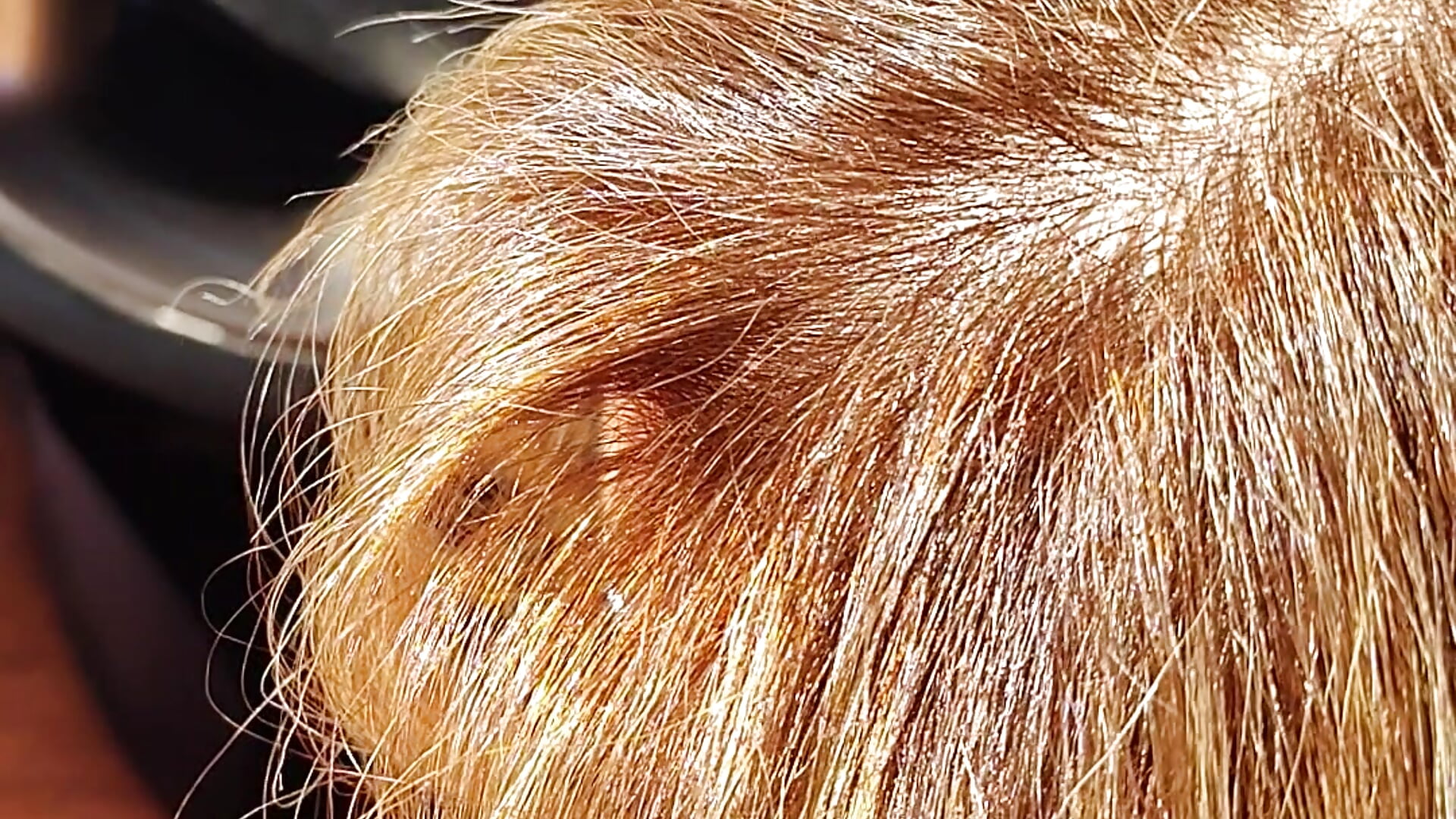 Pompino allo sconosciuto di passaggio in parcheggio con sborrata in faccia e bocca - Divinax 캠 모델의 동영상