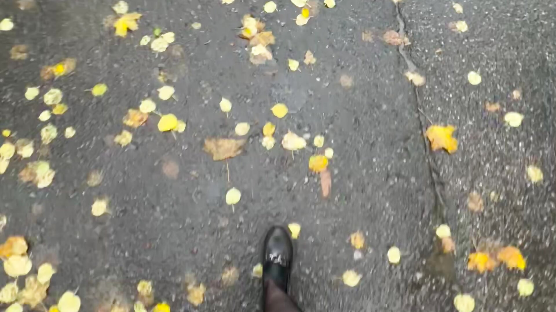 Autumn🍂－カメラキャストのAliceOfWondersSの動画