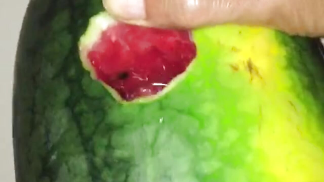 water melon - video by buckgaroooo cam model