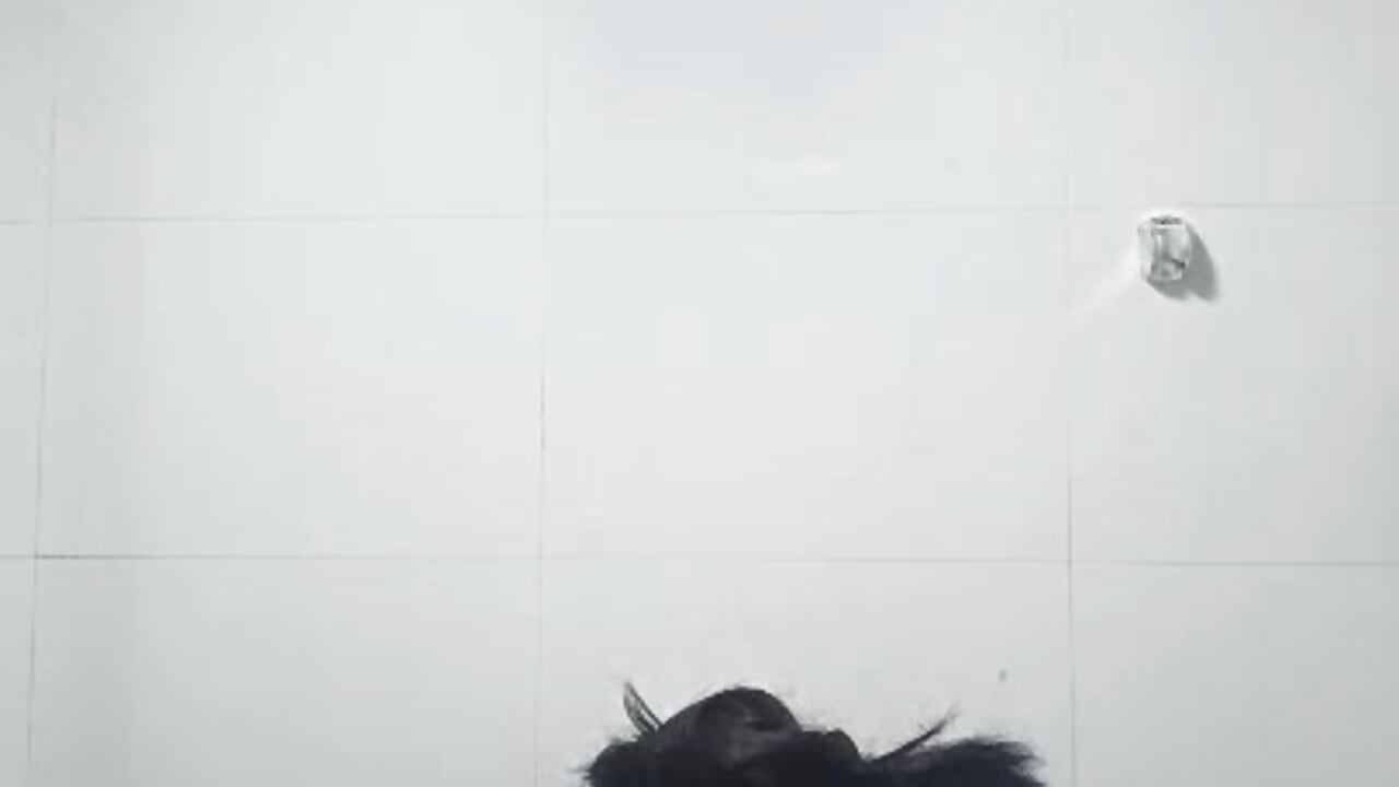 7628.mp4 - lris000123主播的视频