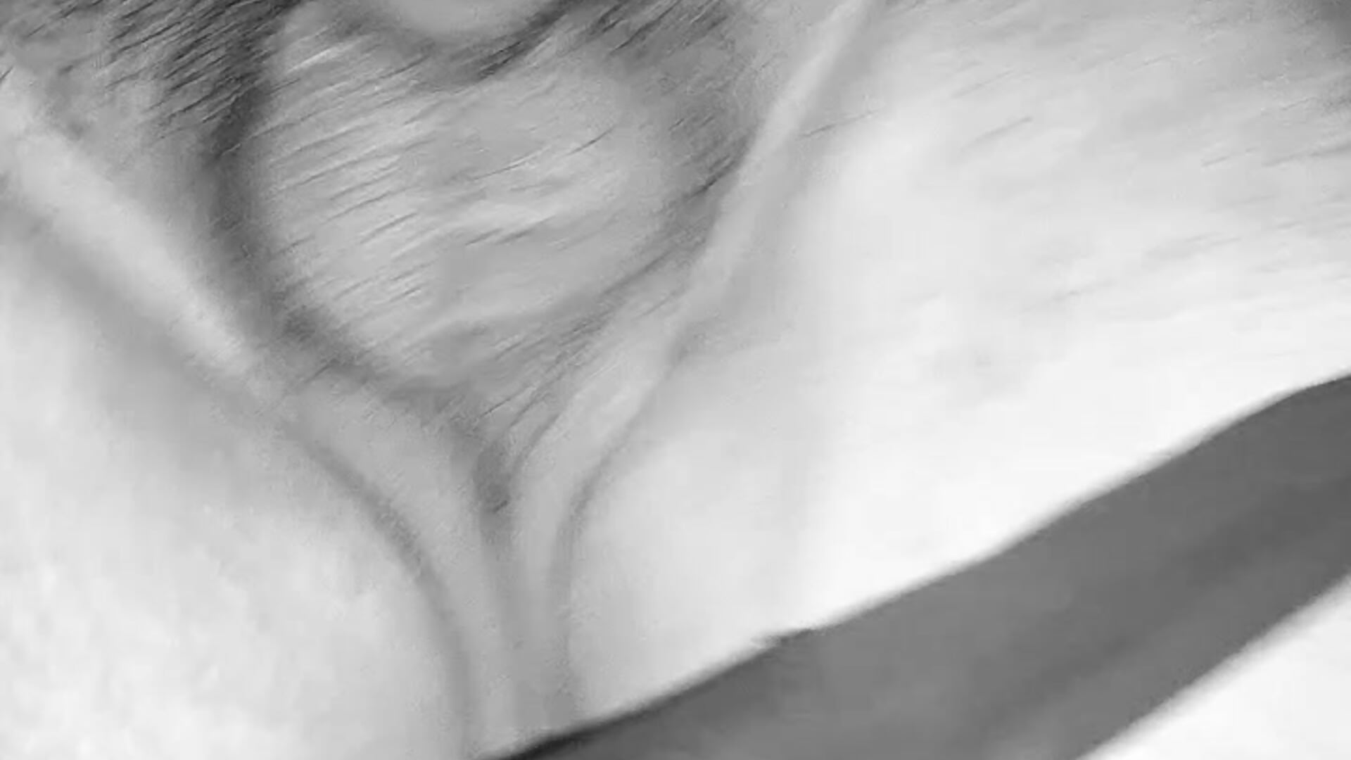 Rapido - video by torresflow99nais cam model