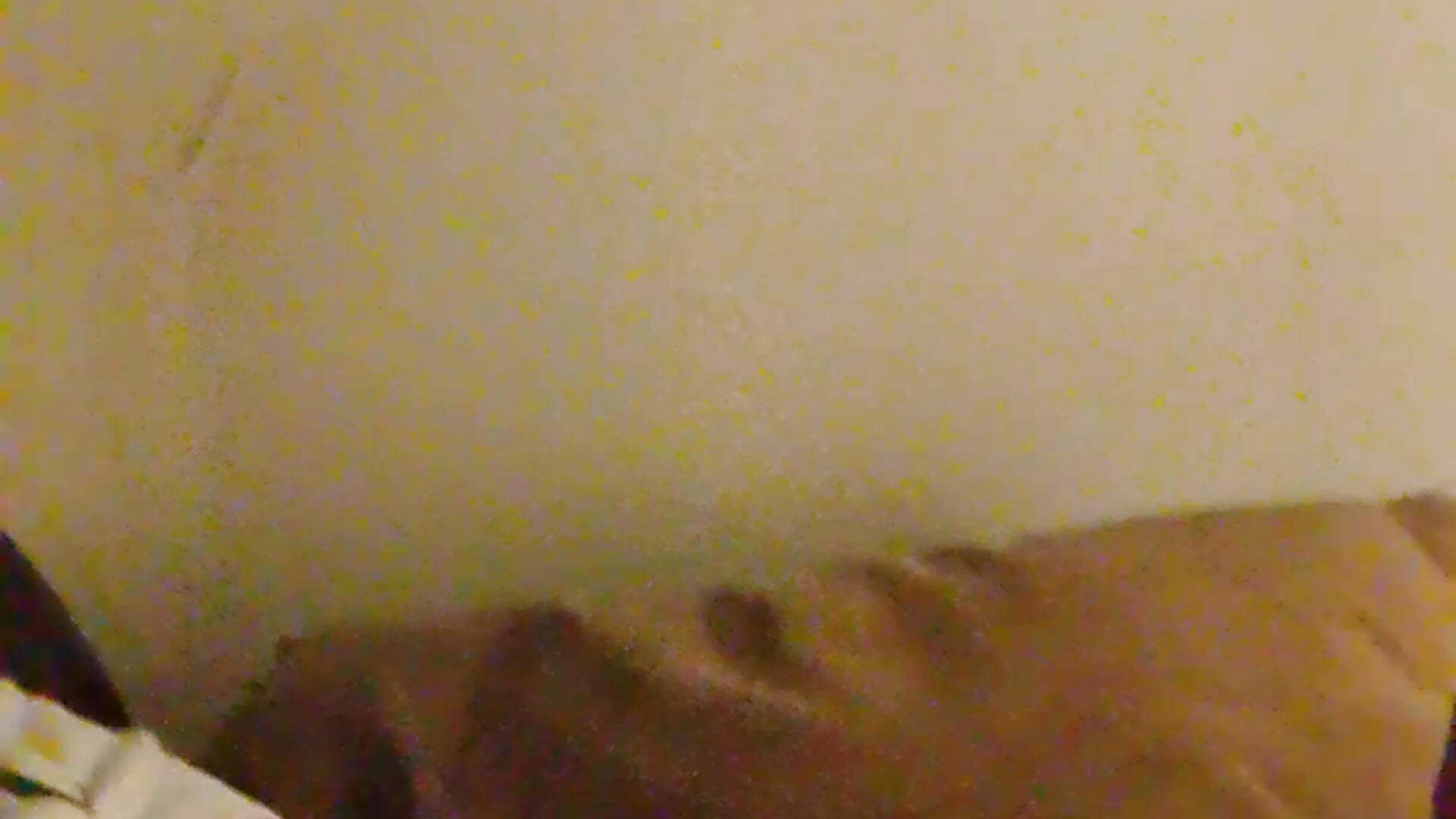 VID_20251022_022211 - video by Doctorrrhorny cam model