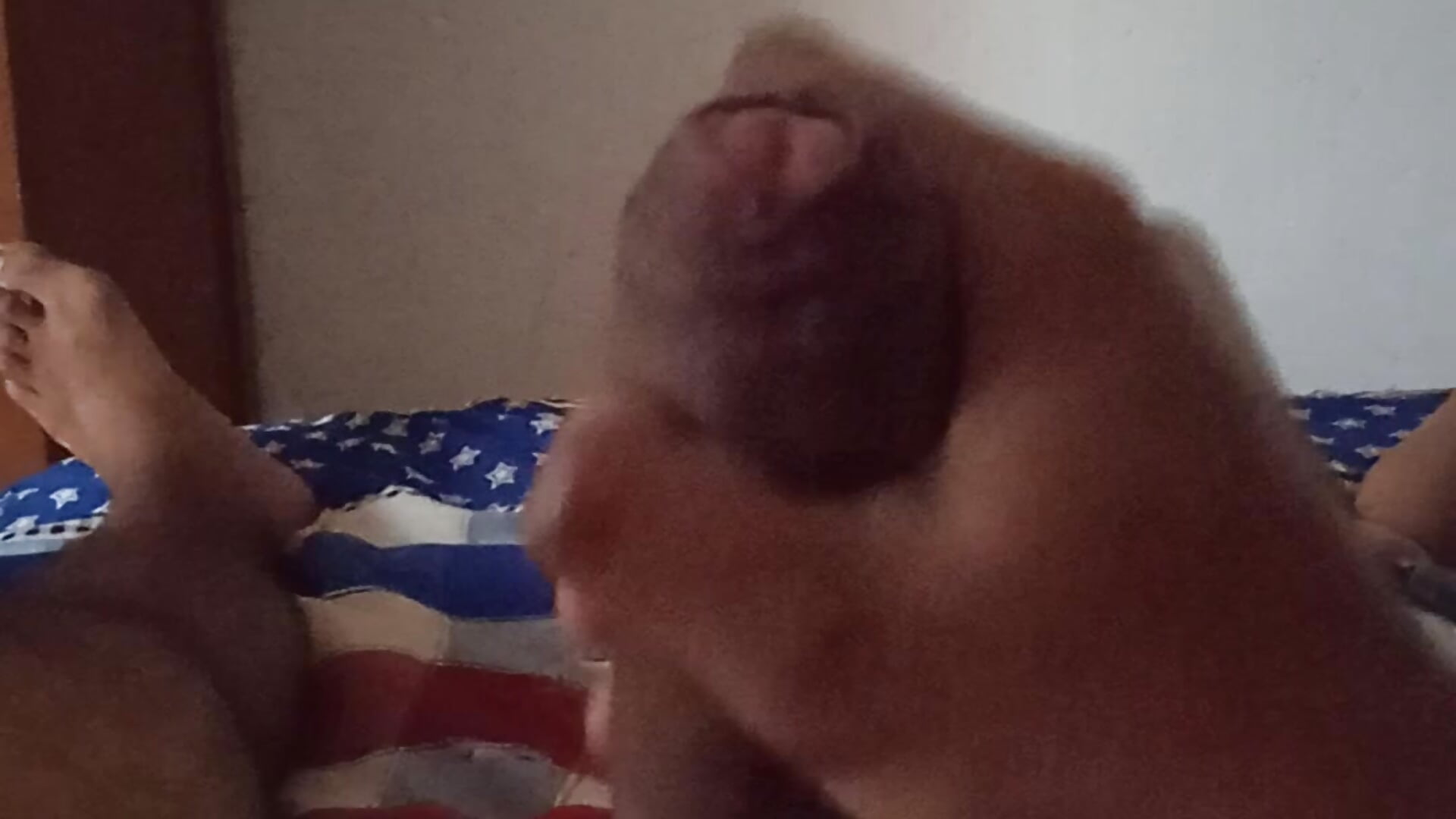 Oscarblackdick4 - video by Oscar_blackdick4 cam model