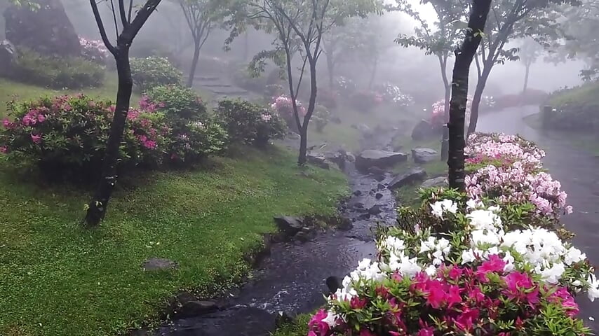 video_2025-10-17_19-48-19 - video by evalora_vei cam model