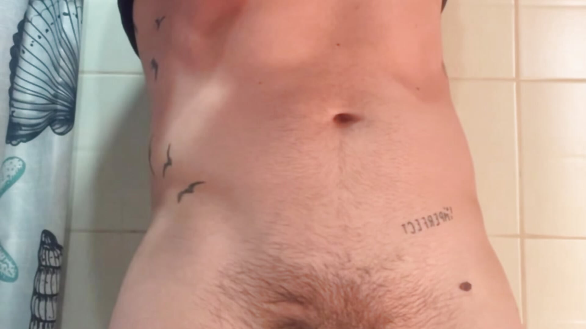 ✊🍆 - video by Leonardmoppet cam model