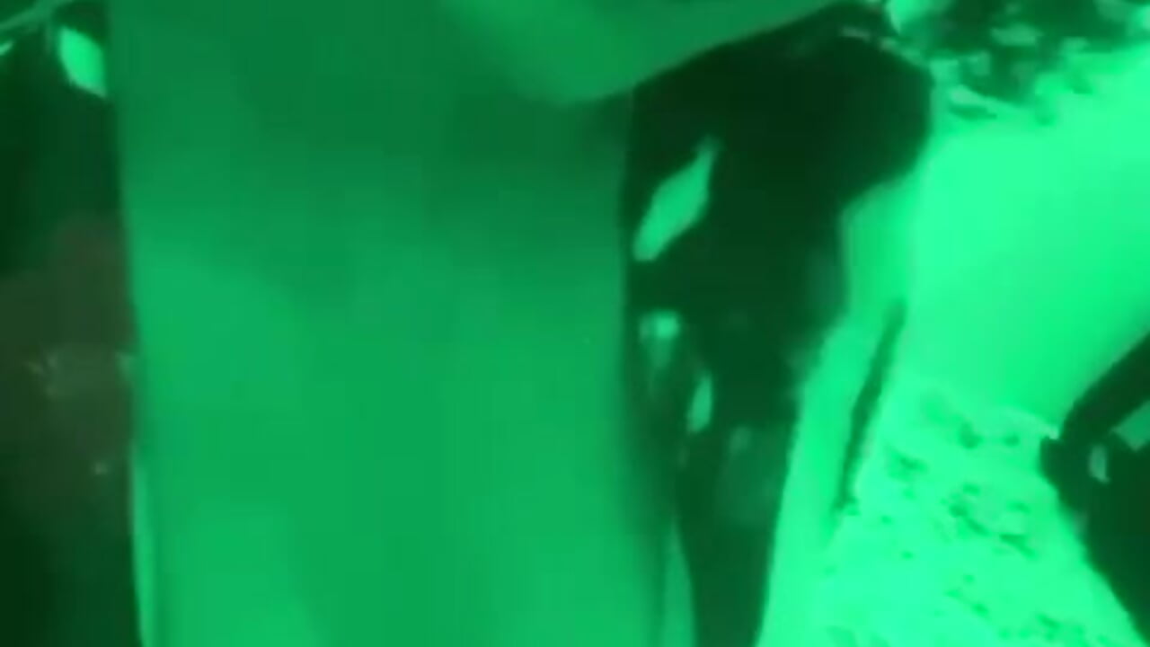 Hot Salome - video by salome_big_tits18 cam model