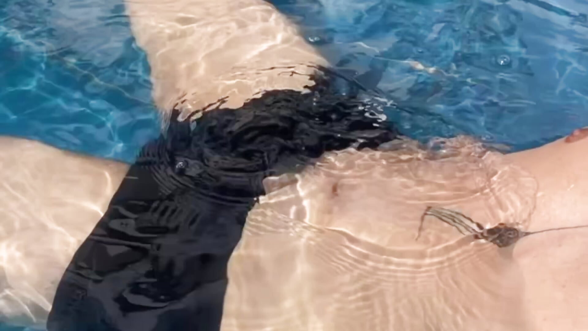 4AAA2778-85A2-47F4-84F7-204DA6D7517A– Felipinh19cm kameramodell videója