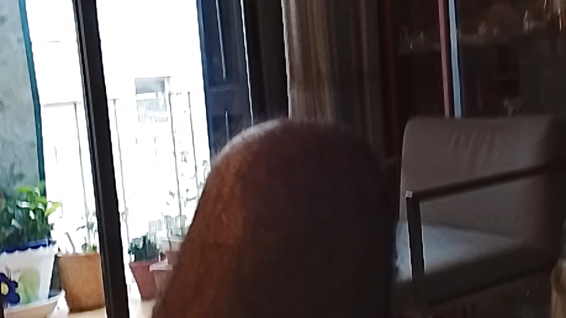 Frente a la ventana 2 — filmik juliatoo, modela(-lki) na kamerkach
