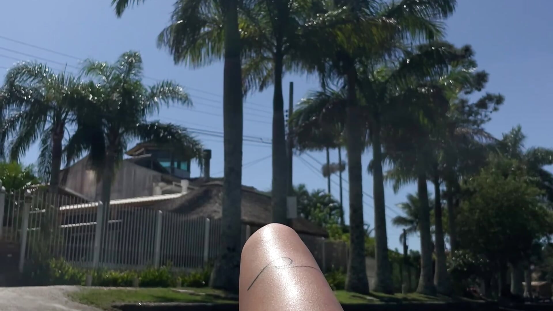 IMG_8532.mov - video by h_prado cam model