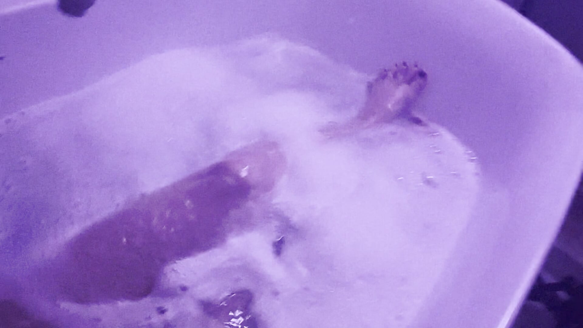 Relaxation after Play - video od modelky/modela itsveraquinn